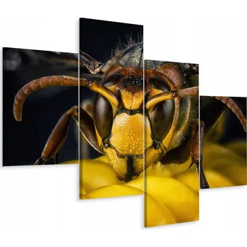 Obraz Čtyřdílný obraz OSA Příroda v makro měřítku 120x75