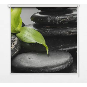 Obraz Polo zatemňovací roleta Coloray 60 cm x 140 cm