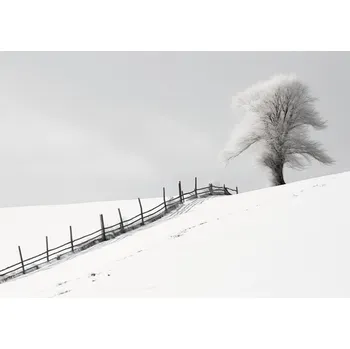 Plakát Plakát Samota Zimy u Plotu bez rámu 42 x 29,7 cm