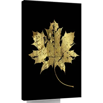 Obraz Černý obraz do obýváku moderní zlatý list 60x40