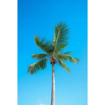 Plakát Plakát Vysočina Nebe bez rámu 61 x 91,5 cm