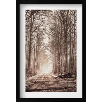 Obraz Dekorativní obraz v rámu do obýváku Lesní cesta v sépiových barvách 40x60 cm