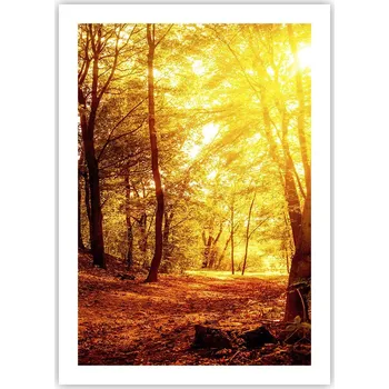 Obraz Plakát bez rámu do obýváku ložnice 50x70 krajina moderní módní obraz