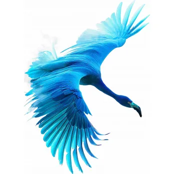 Plakát Plakát Modrý let bez rámu 40 x 60 cm