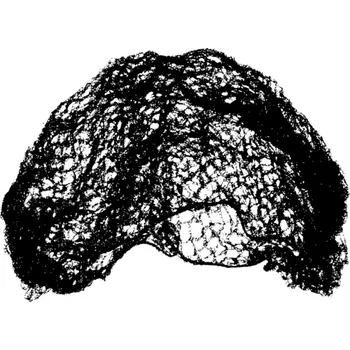 Barva na vlasy Abella Síťka na vlasy D - 70