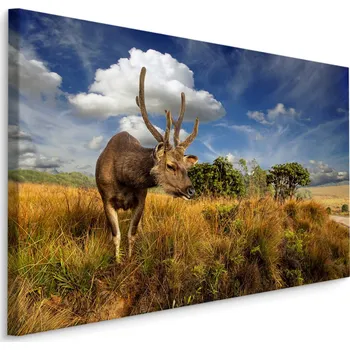 Obraz Obraz do Salonu JELEN Nebo Stromy Krajina 70x50