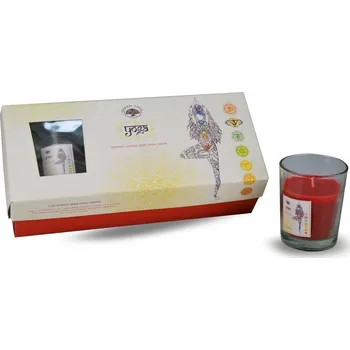 Svíčka Sójová vonná svíčka Green Tree