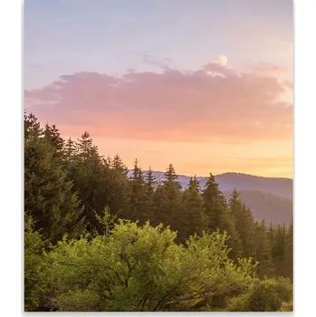 Kuchyňské prkénko Skleněná Ochranná Deska a Krájecí Prkénko | Indukce, Sporák ds-0471