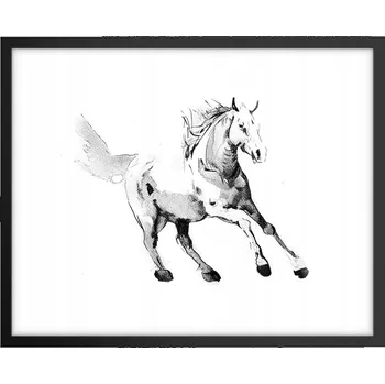Obraz Foto obraz, plakát na zeď v černém rámu 50x40 kůň, plakáty do obýváku
