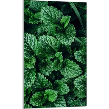 Kuchyňské prkénko Krájecí deska TMK ArtDeko sklo 1 ks