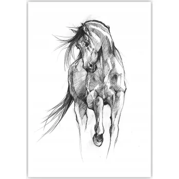 Obraz Plakát na zeď bez rámu 70x100 kůň foto-obraz plakáty do obývacího pokoje ložnice