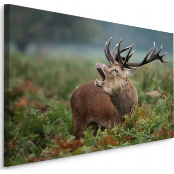 Obraz Obraz do Obývacího Pokoje JELEN v Říji Příroda 70x50