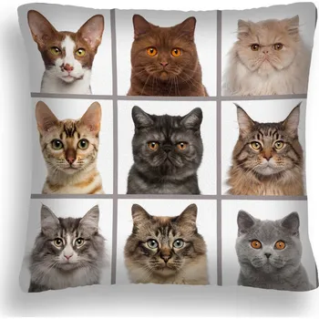 Polštář Polštář s Motivem Koček 46 Koláž Mozaika