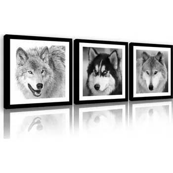Obraz Obraz série triptych moderní vlk série 3D obývací pokoj