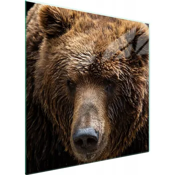 Kuchyňské prkénko Krájecí deska TMK ArtDeko sklo 1 ks