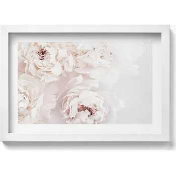 Obraz Ozdobný nástěnný obraz v bílém rámu do obývacího pokoje Pastelové pivoňky 30x20 cm