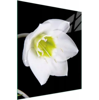 Kuchyňské prkénko Krájecí deska TMK ArtDeko sklo 1 ks