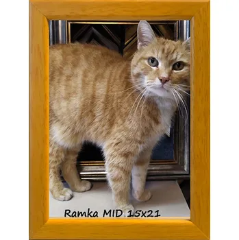 Obraz RÁMEČEK ALPHA 15x21 MEDOVÉ DŘEVO