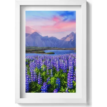 Obraz Dekorativní obraz v bílém rámu do obýváku Levandulová pole - Island 20x30 cm