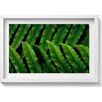 Obraz Dekorativní nástěnný obraz v rámu s grafikou Zelené listy detail 60x40 cm
