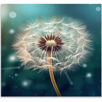 Kuchyňské prkénko Skleněná Ochranná Deska a Krájecí Prkénko | Indukce, Sporák ds-0321