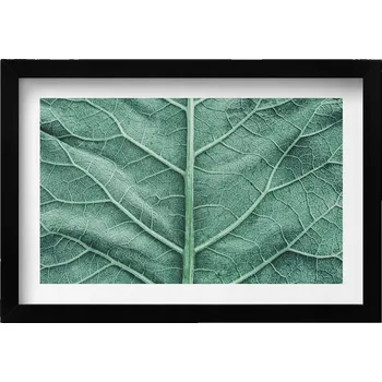 Obraz Ozdobný nástěnný obraz v rámu s grafikou Detail žilnatiny listu 30x20 cm