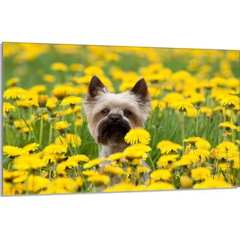 Kuchyňské prkénko Krájecí deska TMK ArtDeko sklo 1 ks