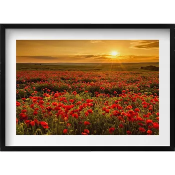 Obraz Obraz s černým rámem a grafikou na zeď: Krajina s loukou, květy a vlčími máky, 70x50 cm