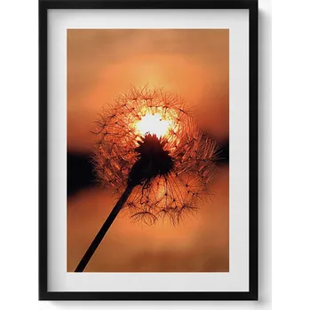 Obraz Dekorativní obraz v rámu do obýváku Pampeliška při západu slunce 50x70 cm