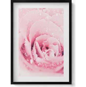 Obraz Dekorace obraz v černém rámu na zeď Růžový Jemný Květ 50x70 cm