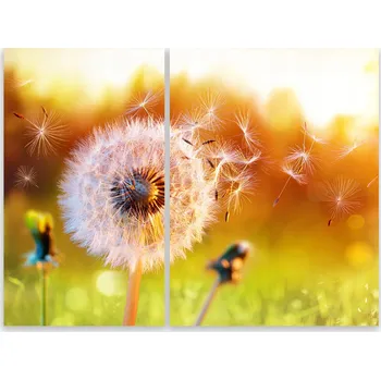 Kuchyňské prkénko Skleněná Ochranná Deska a Krájecí Prkénko | Indukce, Sporák ds-0573