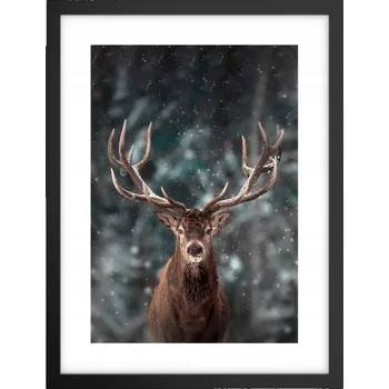 Obraz Obraz plakát v černém rámu do obýváku 30x40 zvířata plakáty na zeď