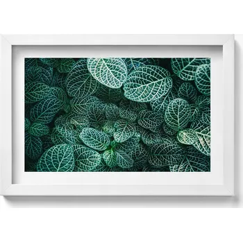 Obraz Dekorativní nástěnný obraz v rámu s grafikou Zelené divoké listy 30x20 cm