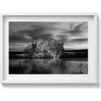 Obraz Nástěnný obraz do obýváku kuchyně Černobílý leopard divoké zvíře 70x50 cm