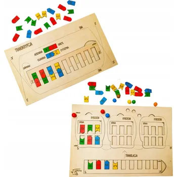 Dřevěná hračka RNA, genetika, stavba RNA, dřevěná skládačka, biologická pomůcka