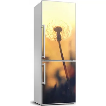 Fototapeta Samolepící nálepka Pampeliška