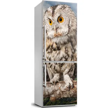 Fototapeta Samolepka / fólie na lednici - Sova na kopci 70x190