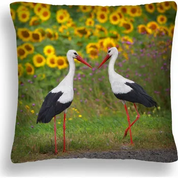 Polštář POLŠTÁŘ LÁSKA ČÁPI POLSKO ZW 09 50x50