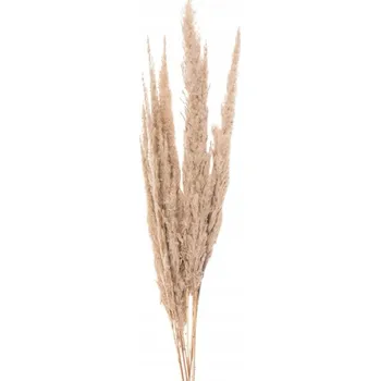 umělá květina Sušená Pampa Tráva Kytice 100 cm E Clayre & Eef