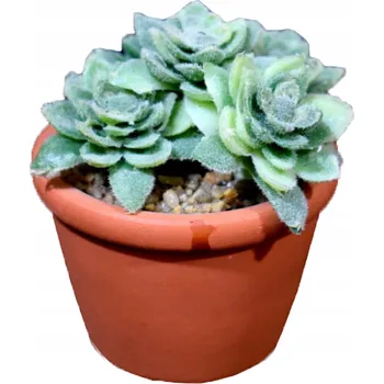 umělá květina Sukulent v květináči