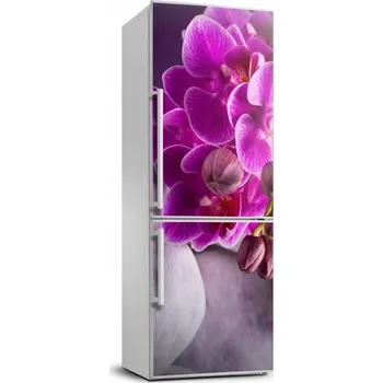 Fototapeta Samolepka samolepící dýha Růžová orchidej