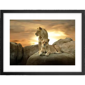 Obraz Obraz plakát v černém rámu do obýváku 40x30 zvířata foto na zeď