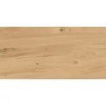 DLAŽBA ASHVILLE BEIGE MATT 29,7X59,8