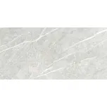 OBKLAD STONE PARADISE GREY LIGHT SATIN 29,8X59,8