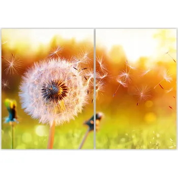 Kuchyňské prkénko Skleněná Ochranná Deska a Krájecí Prkénko | Indukce, Sporák ds-0573