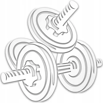 GYM HANTLE reflexní vložka na auto - stříbrná