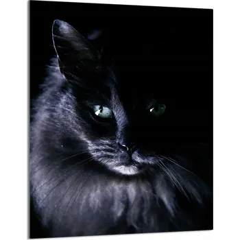 Kuchyňské prkénko Krájecí deska TMK ArtDeko sklo 1 ks