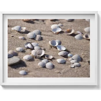 Obraz Nástěnný obraz v bílém rámu Dekorace interiéru Mušle na pláži 80x60 cm