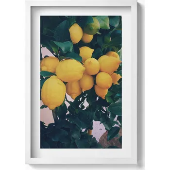 Obraz Dekorativní obraz v bílém rámu do obýváku Zralé žluté citrony 40x60 cm