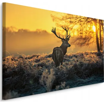 Obraz Obraz do obýváku jelen slunce zima příroda 3D 70x50
